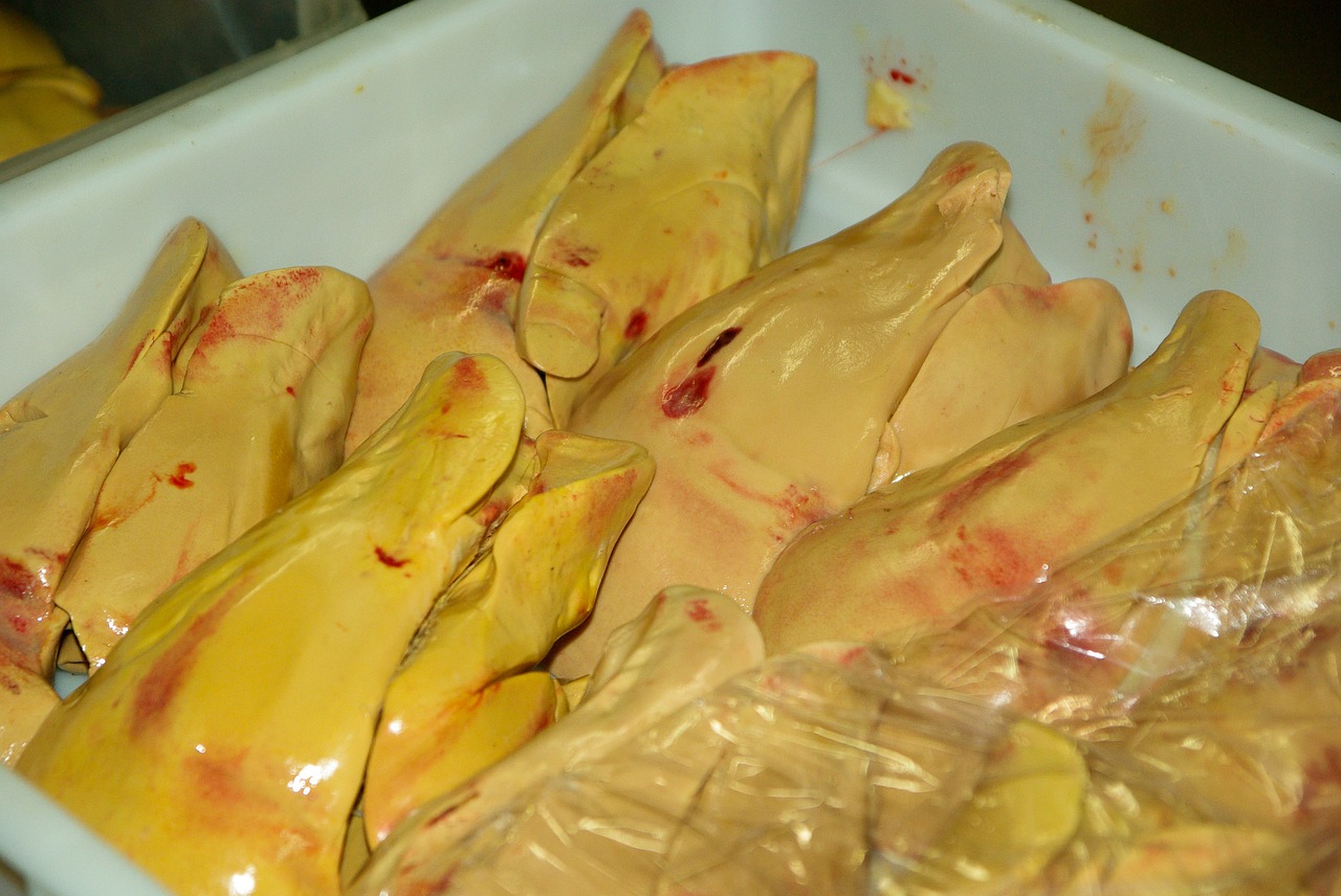 foie-gras-609207_1280